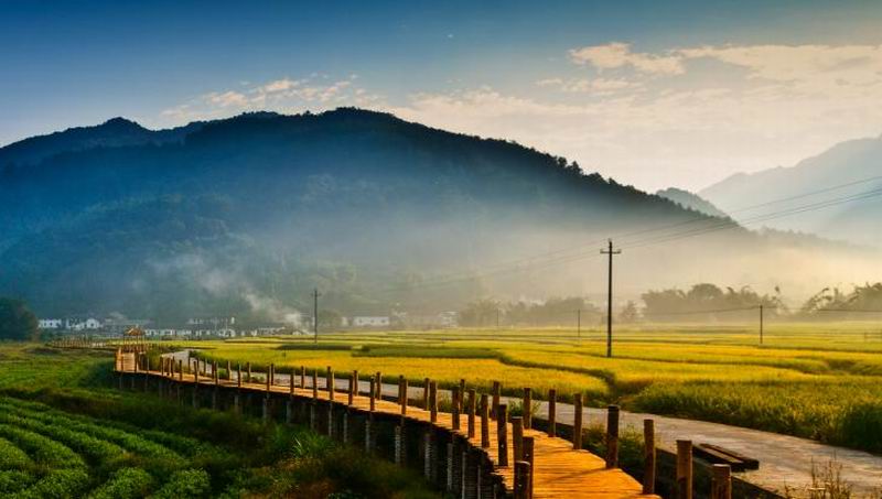 暢游小坑，開啟靜謐之旅